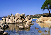 关于新加坡球队士气高昂，备战亚冠比赛的信息